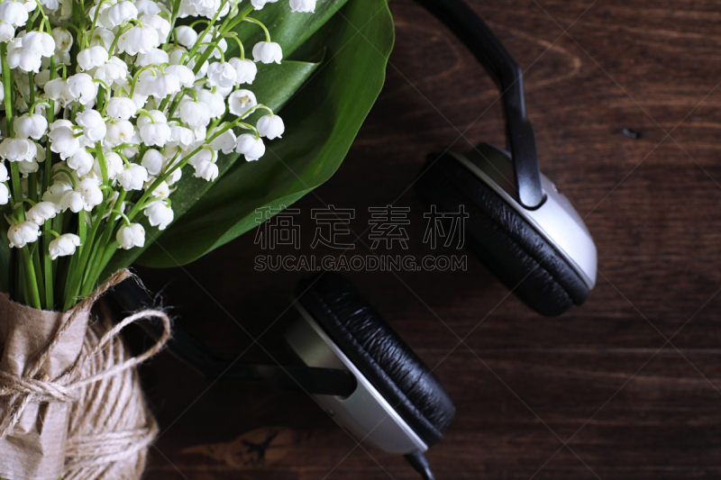 花束,桌子,铃兰,夏天,乡村风格,相机,技术,按钮,植物学,计算机