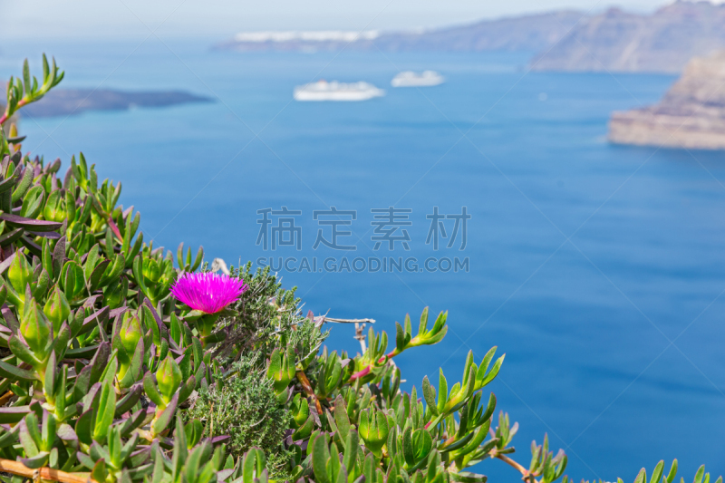 圣托里尼岛,希腊,海洋,风景,茼蒿菊,爱琴海,基克拉迪群岛,水,天空,水平画幅