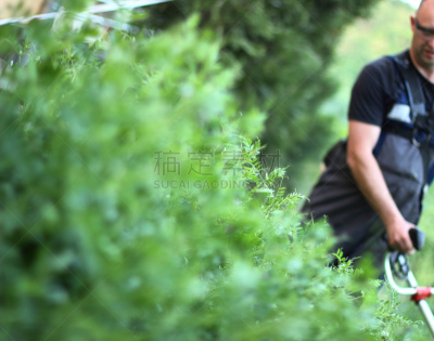 草,留白,水平画幅,注视镜头,草坪,夏天,户外,男性,仅男人,仅成年人