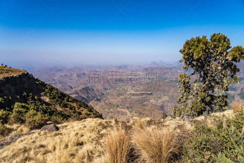 埃塞俄比亚,风景,地形,北,世界遗产,野生动物,著名景点,自然美,岩石,非洲之角