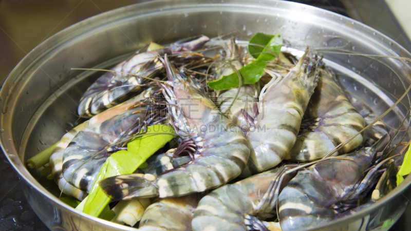 精制虎虾,明虾,虾,海洋生命,自然,饮食,水平画幅,无人,巨大的,生食