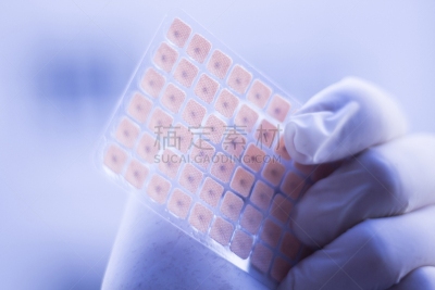 针灸,种子,人的耳朵,耳针疗法,中医,物理疗法,水平画幅,健康保健,标签