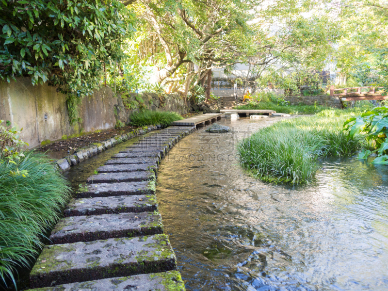 河流,三岛市,静冈县,木板路,自然,公园,里山,非都市风光,水平画幅,秋天