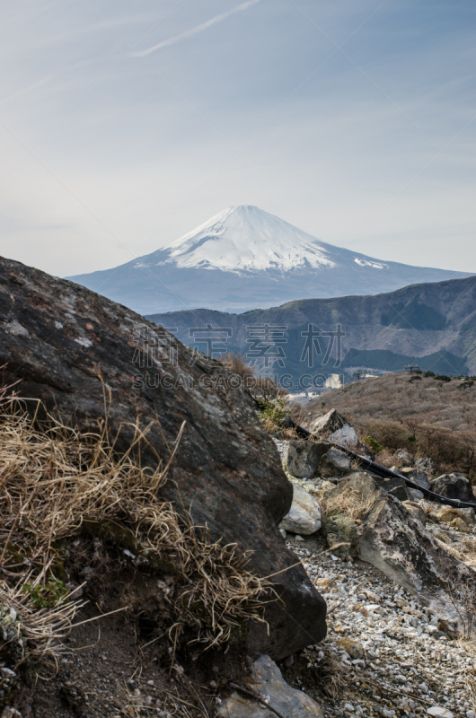 富士山,箱根湿地植物园,箱根园,富士箱根伊豆国立公园,垂直画幅,无人,全景,日本,户外,陆地