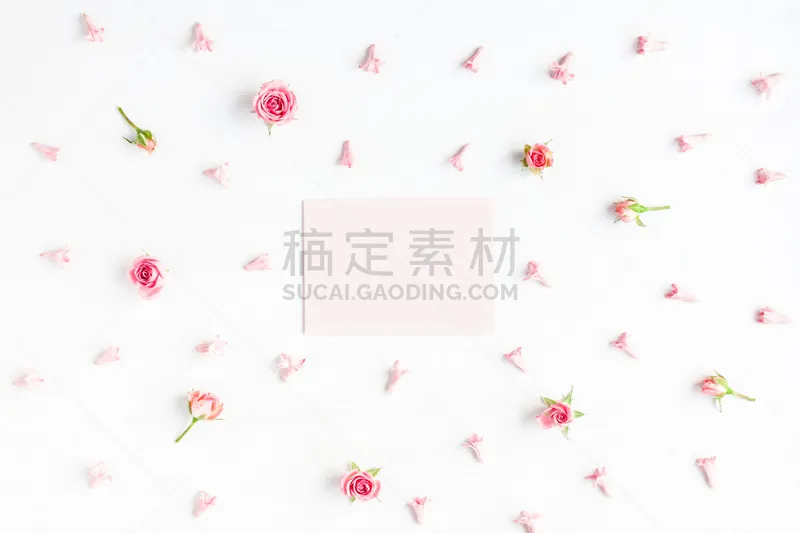 粉色 空白的 白色背景 纸 贺卡 留白 艺术家 古典式 夏天 模板图片素材下载 稿定素材 粉色 空白的 白色背景 纸 贺卡 留白 艺术家 古典式 夏天 模板图片素材下载 稿定素材