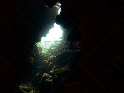 开曼群岛,乔治镇,洞,水平画幅,水肺潜水,无人,软体动物,阴影,活力,石头