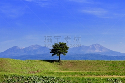 秋天,田地,九月,旭岳火山,一个物体,图像,无人,稻田,一棵树
