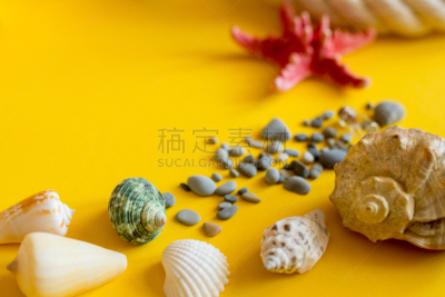 鹅卵石,贝壳,黄色背景,星形,黄色,旅途,图像,海洋,海星,美国