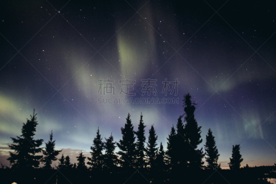 北极光,加拿大,耶洛奈夫,有边的,奇幻狂想,甲板,湖岸,天空,水平画幅,夜晚