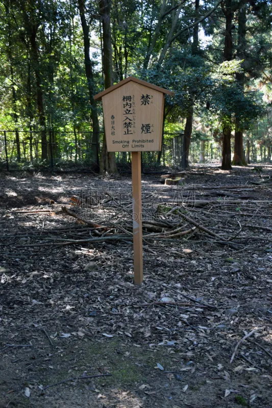 日本 奈良公园 禁止吸烟记号 奈良市 奈良县 垂直画幅 旅行者 野外动物 户外 旅游图片素材下载 稿定素材