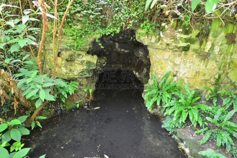 洞室,英格兰,水,美,水生植物,利特汉普顿,水平画幅,无人,苔藓,夏天