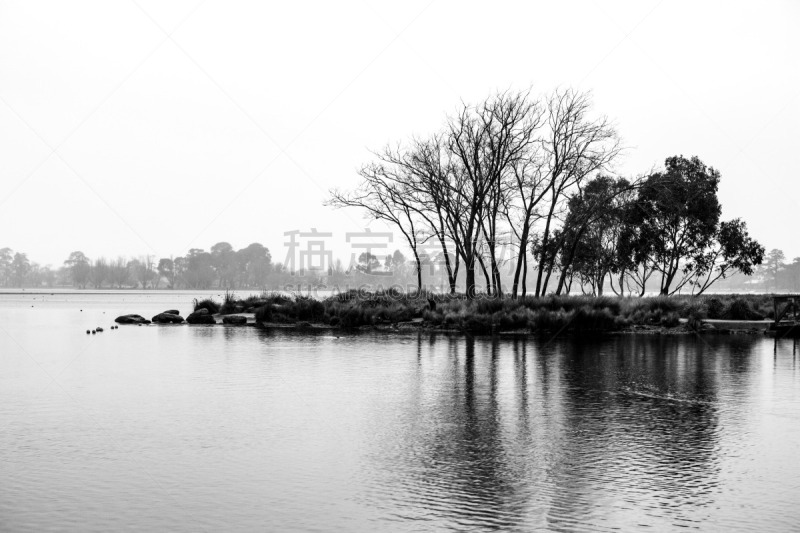 湖,雨,秃树,黑白图片,雾,地形,岛,白昼,小的,生长