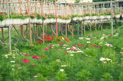农民,花盆,当地著名景点,西贡河,胡志明市,湄公河,水,美,新的,水平画幅