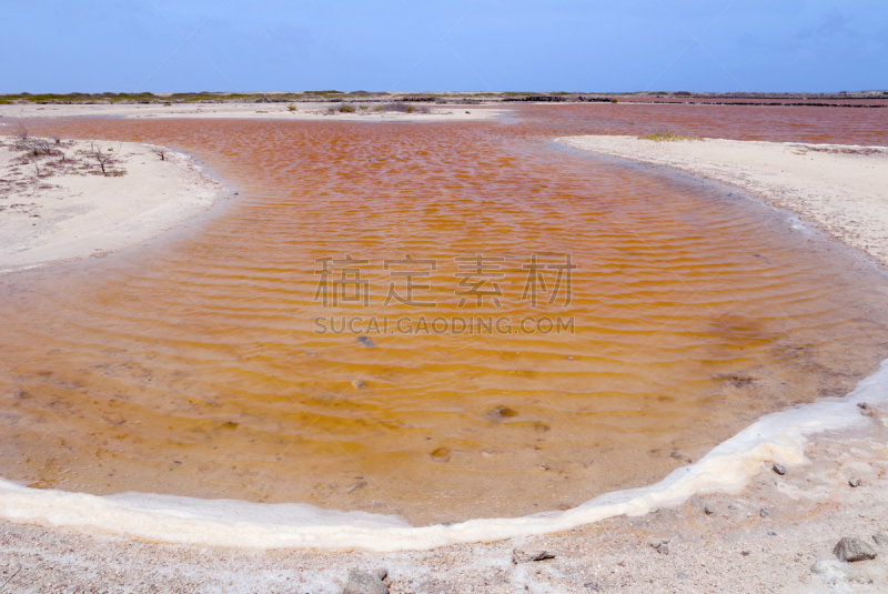 波耐尔,粉色,盐,池塘,嗜盐生物,盐湖,含盐盆地,荷兰加勒比海,盐滩,利沃德