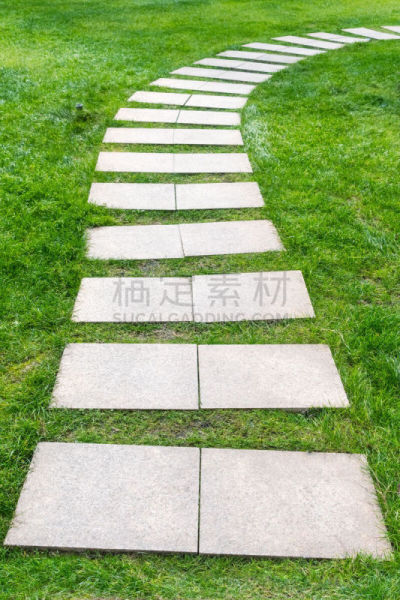 草坪,石材,小路,垂直画幅,台阶,户外,草,方向,田地,植物
