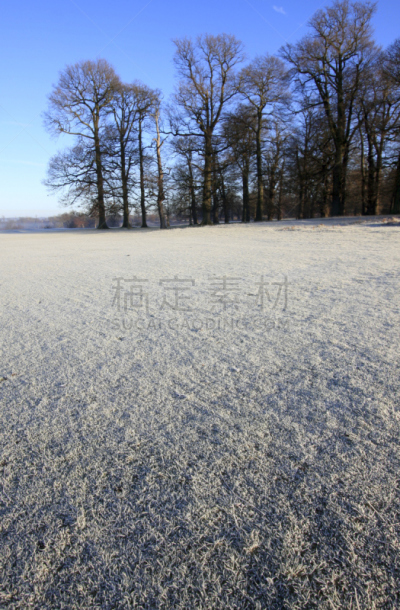 英格兰,冬天,桨叉架船,垂直画幅,天空,公园,雪,无人,户外,树林