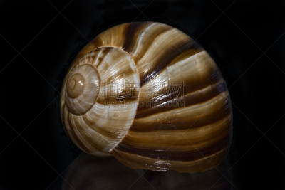 水,美,褐色,水平画幅,形状,尖的,无人,纺锤,优美,法式食品