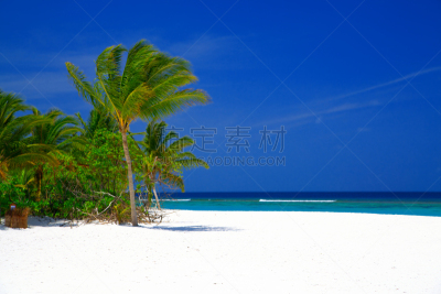 棕榈树,海滩,马尔代夫,巴阿环礁,水,天空,水平画幅,沙子,无人,椰子树