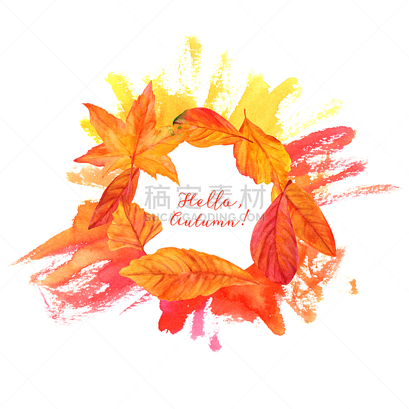 叶子,秋天,式样,你好,活力,水彩画,枫叶,花环,白桦,绘画插图