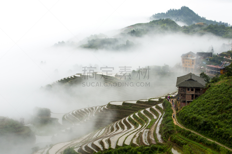 龙胜,梯田,雾,龙脊梯田,桂林,水稻梯田,新的,水平画幅,高视角,无人