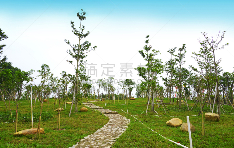 派克大街,新的,公园,水平画幅,无人,草坪,夏天,户外,石材,草