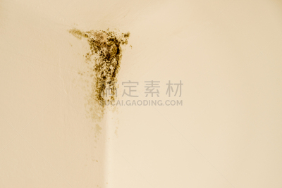 墙,角落,霉菌,轻的,白色,卫生,古老的,波兰,房屋,室内