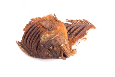 罗非鱼,裹面包屑,鱼肉,白色背景,食盐,尼罗河,餐具,自然,清新,水平画幅