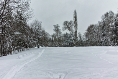雪,南方公园,索非亚,冬天,风景,保加利亚,城市,天空,美,风