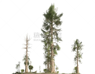 三维图形,绘画插图,史前时代,森林,分离着色,白色背景,背景分离,环境,已灭绝生物,侏罗纪