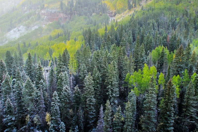 雪,山,科罗拉多州,斯奈佛尔斯山脉,清新,暴风雨,水平画幅,无人,户外,海登山