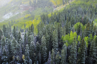 雪,山,科罗拉多州,斯奈佛尔斯山脉,清新,暴风雨,水平画幅,无人,户外,海登山