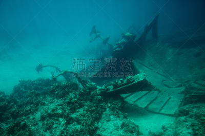 海洋,在底端,蝴蝶结,沉船潜水,开曼群岛,凹陷的,船首,水,潜水