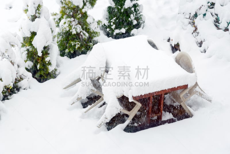 白色,冬天,清新,季节,日本,河口湖,富士河口湖,银杏,富士山,下雪