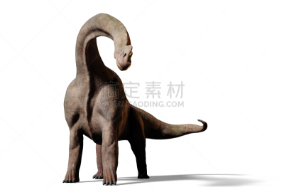 绘画插图,阴影,恐龙,三维图形,腕龙,分离着色,白色背景,水平画幅,素食,无人