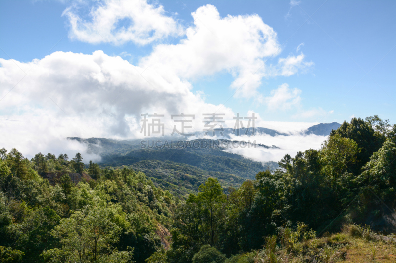 泰国,山,雾,农牧之神潘,茵他侬国家公园,邱园,清迈省,自然,天空,太空