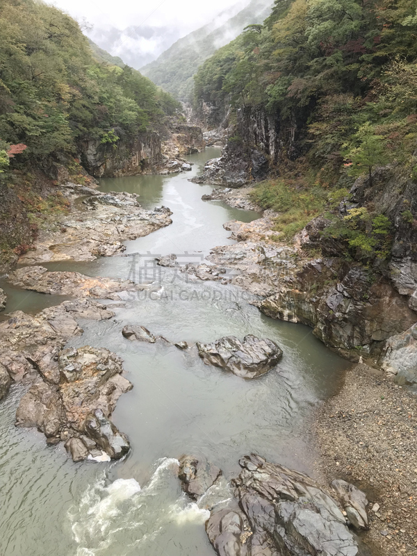 日本,山谷,垂直画幅,水,日光市,沟壑,枝繁叶茂,山,无人,户外