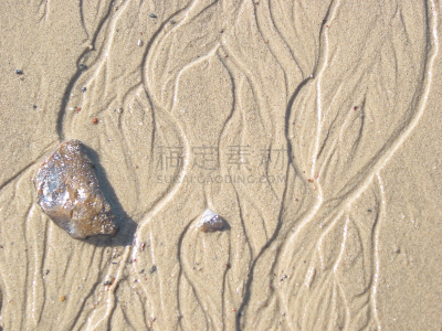 2002,易北河,平衡折角灯,堤岸,石勒苏益格-荷尔斯泰因,自然,水平画幅,绿色,地形,沙子