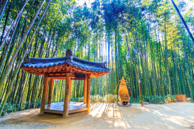 韩国,潭阳郡,竹林,亭台楼阁,迷宫游戏,名声,长椅,公园,枝繁叶茂,公园长椅