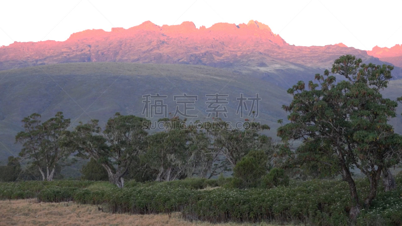 肯尼亚山,自然,美,公园,旅游目的地,水平画幅,绿色,山,无人,非洲