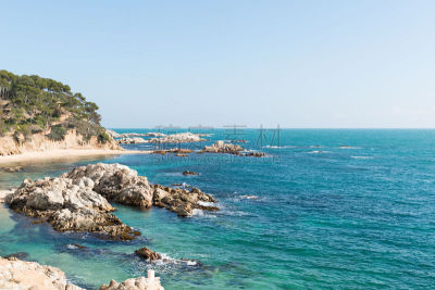 西班牙,海岸线,赫罗纳,勇气,陡峭海岸,埃斯塔蒂特,港口的热带雨林,帕拉弗鲁赫尔,卡达开斯,特萨德玛