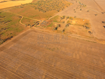 牛,偏远地区,航拍视角,未来,新南威尔士,水平画幅,牧羊犬,户外,干的