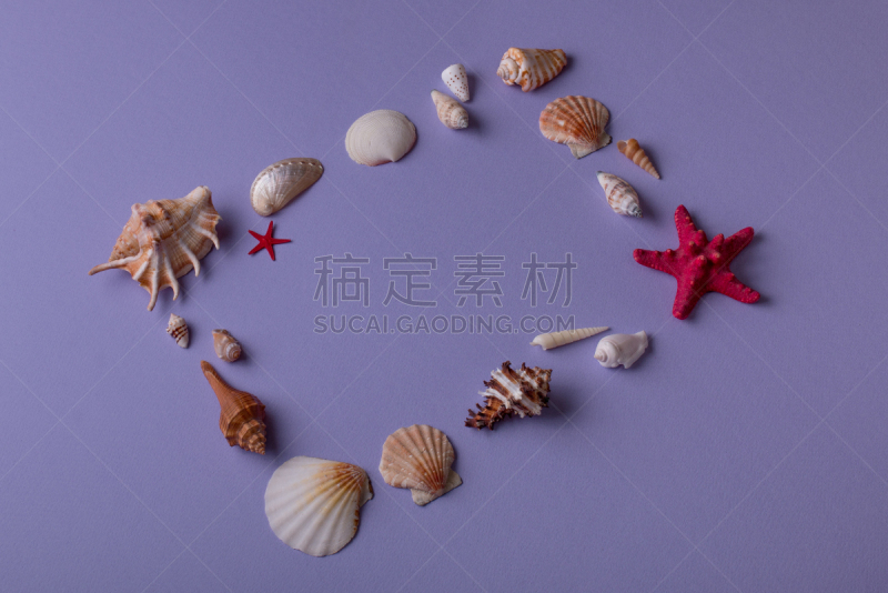 边框,贝壳,海洋,淡水中心硅藻,海蛤,海星,纪念品,留白,度假胜地,做
