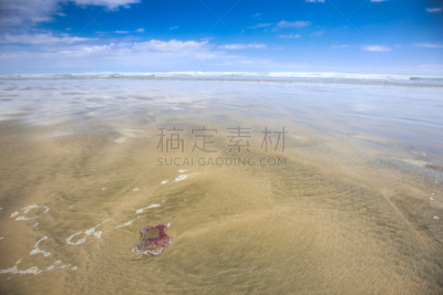 水,浅的,海滩,水母,里,1990-1999年图片,天空,美,水平画幅,云