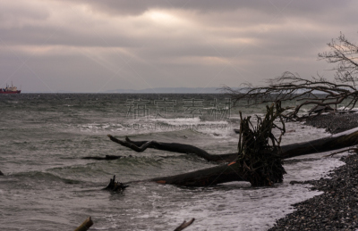 雪,海滩,德国北海地区,梅克伦堡前波莫瑞州,云,户外,white cliffs,自然,季节,风景