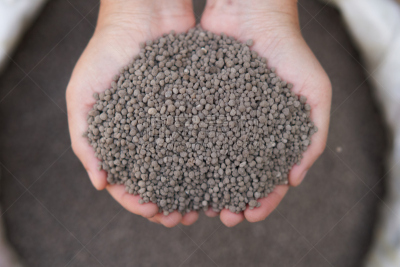 18-46-0 , Diammonium phosphate (DAP) fertilizers in farmer hand .