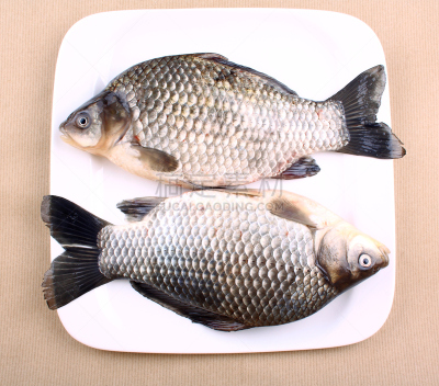 鲤鱼,两只动物,盘子,白色,鱼肉,餐具,水平画幅,无人,生食,海产
