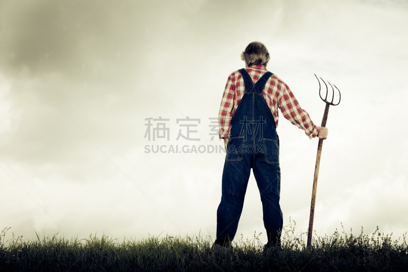 农民,在上面,山,耙子,低饱和度,农业,专业人员,暗色,云景,仅男人