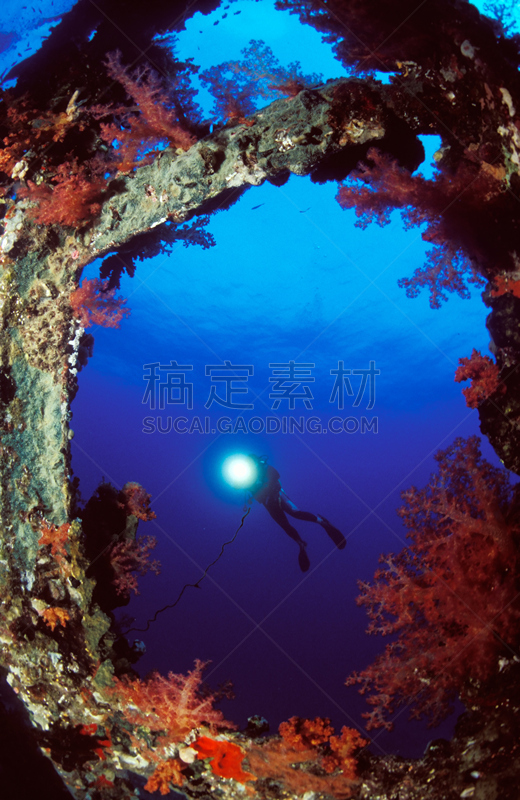 水下,风景,人,水肺潜水,红海,地形,生活方式,潜水,冒险,度假