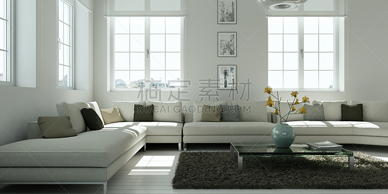 现代,起居室,室内设计师,白色,灰色,模板,沙发,装饰物,豪宅,窗户