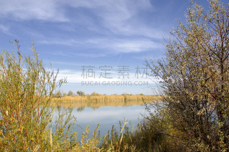 河流,雪佛兰,河漫滩,莎草,水道,水力发电,河床,水平画幅,沙子